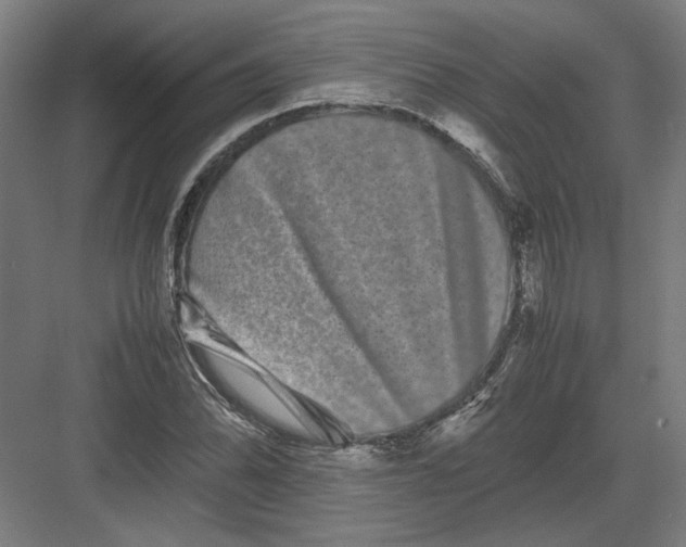 X0000082201070200702092355