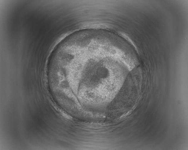 X0000082201071200702092355