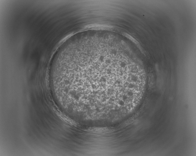 X0000082201074200702092355