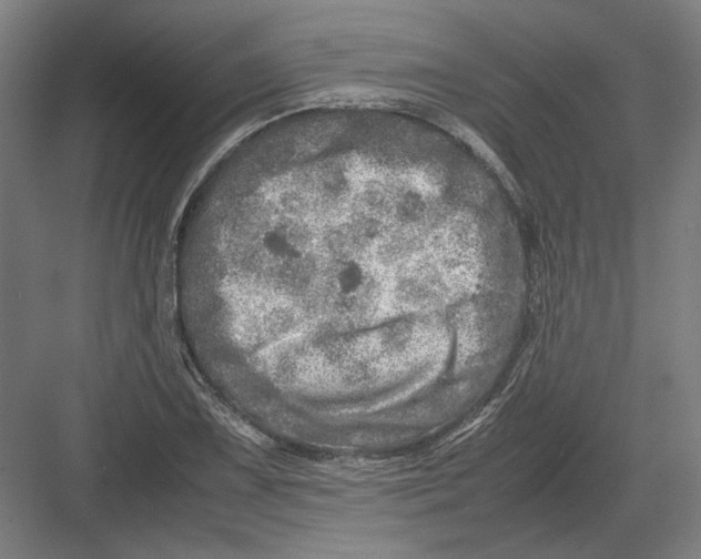 X0000082201075200702092355