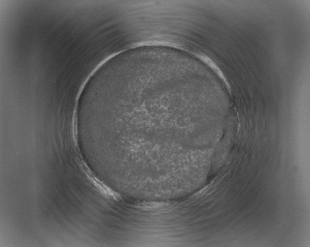 X0000082201076200702092355