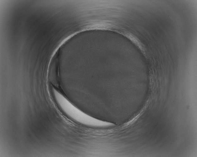 X0000082201077200702092355