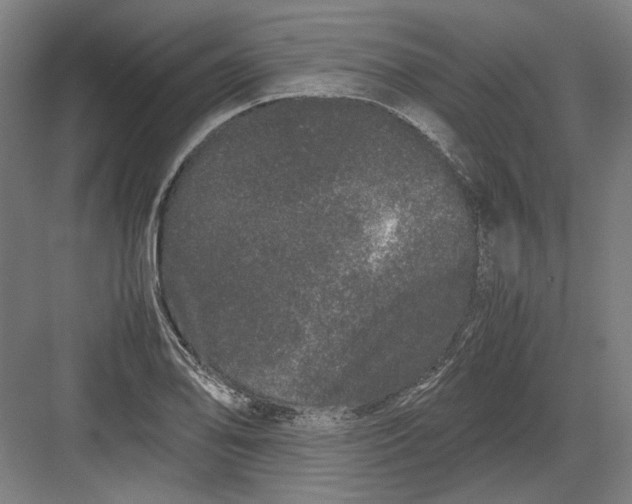 X0000082201078200702092355