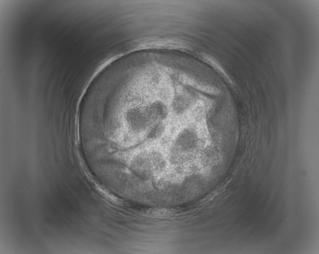 X0000082201079200702092355