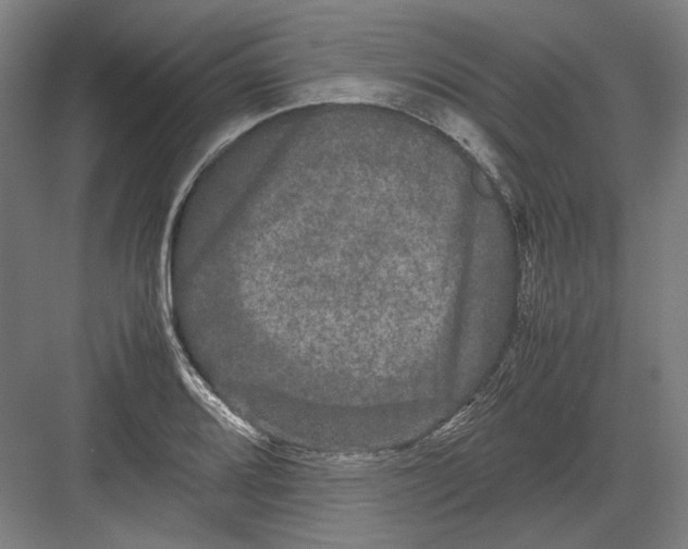 X0000082201080200702092355