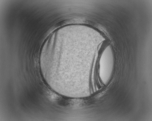 X0000082201081200702092355