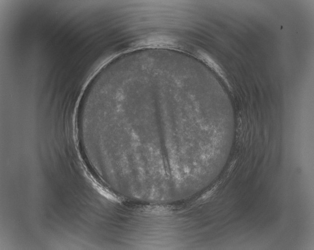 X0000082201082200702092355