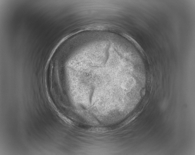 X0000082201083200702092355