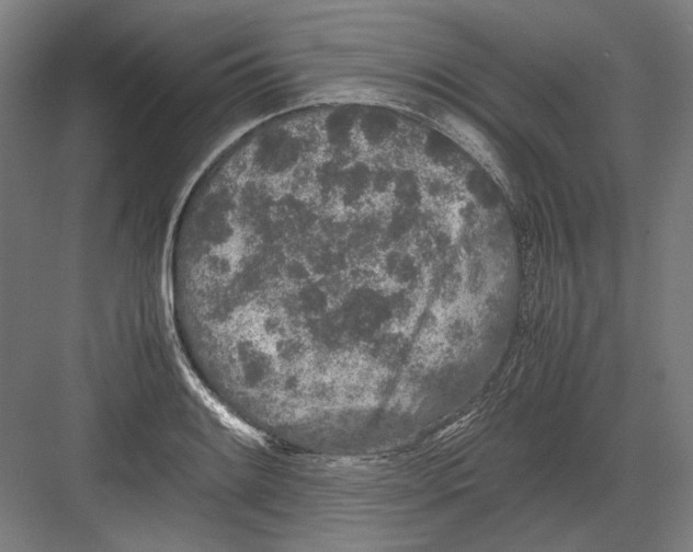 X0000082201084200702092355