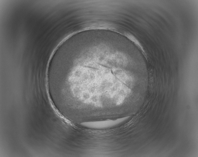 X0000082201088200702092355