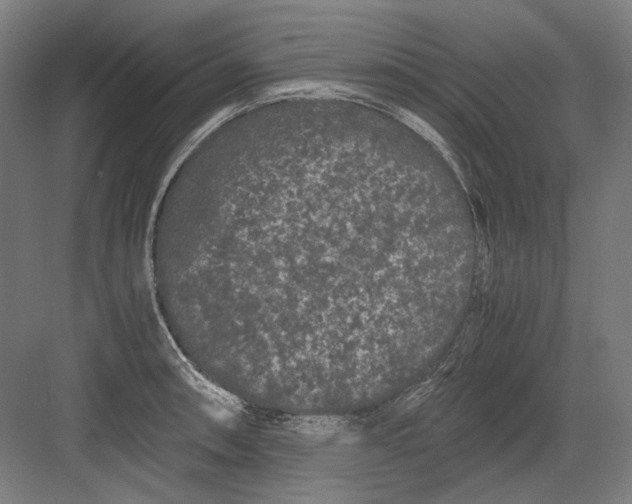 X0000082201090200702092355