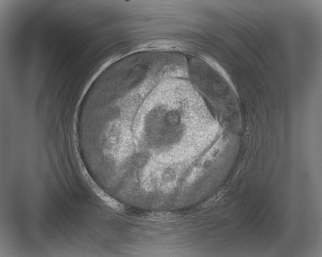 X0000082201091200702092355