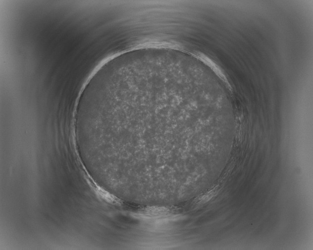 X0000082201094200702092355