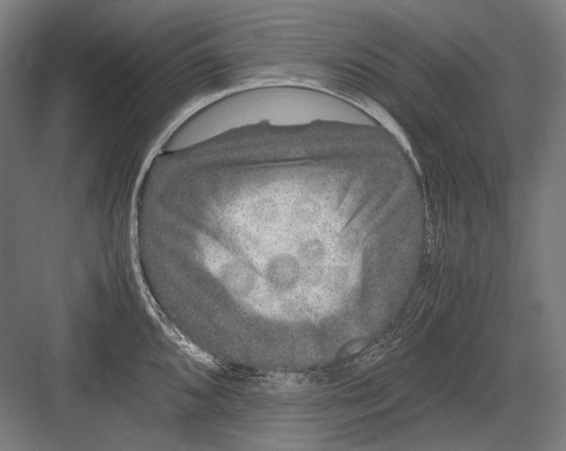 X0000082201096200702092355