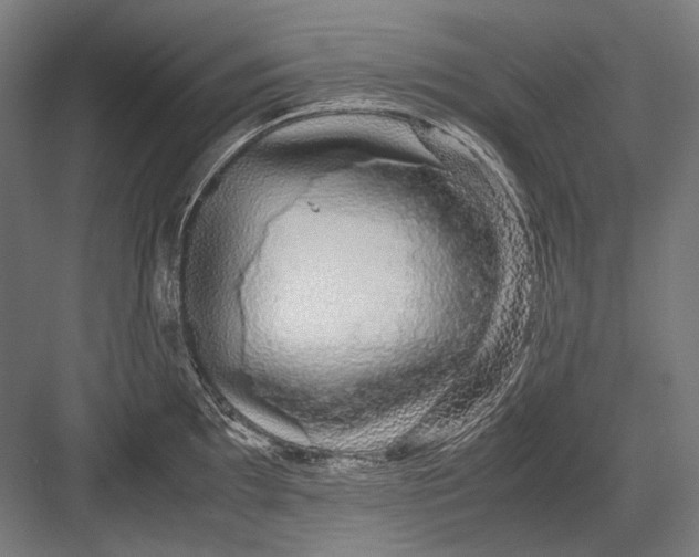 X0000082201097200702092355