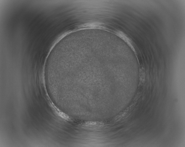 X0000082201098200702092355