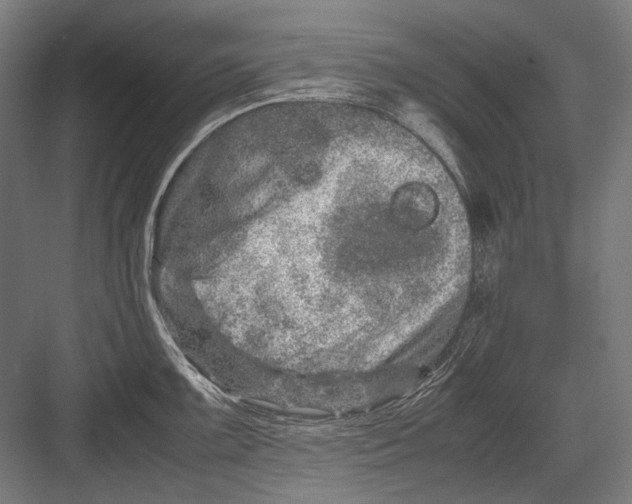 X0000082201099200702092354