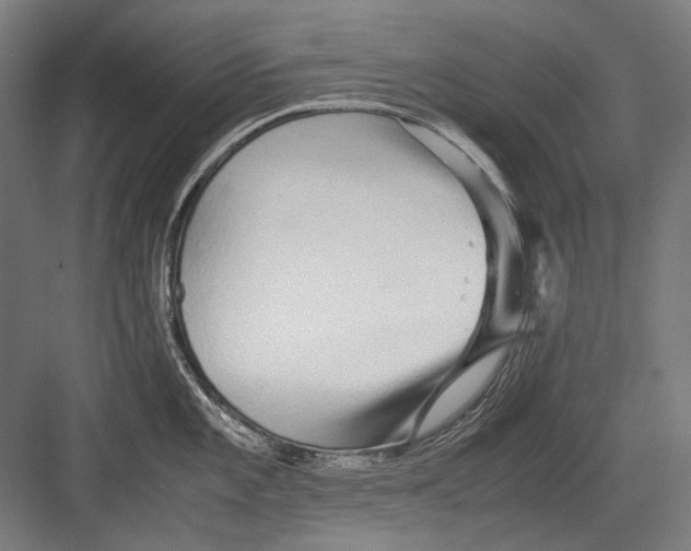 X0000082201101200702092354