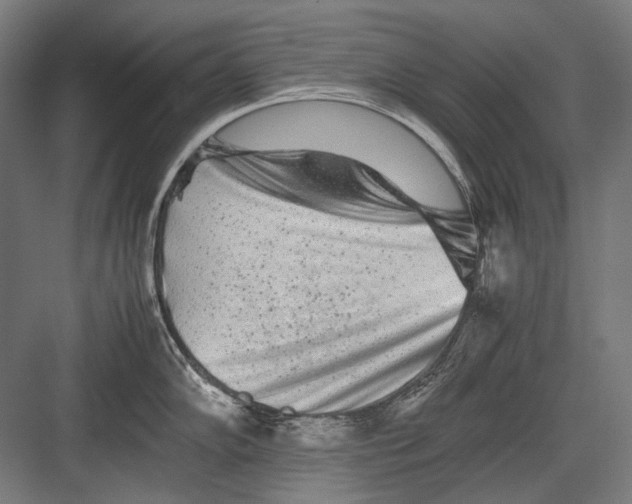 X0000082201102200702092354