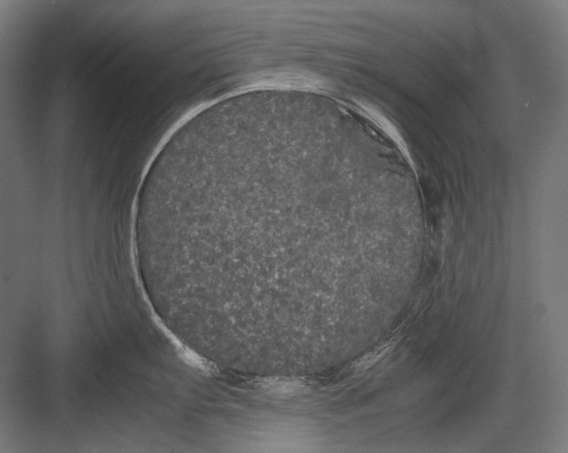 X0000082201103200702092354