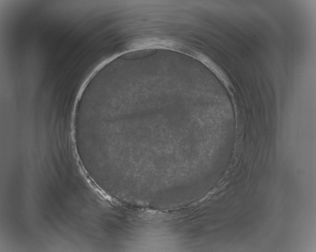 X0000082201104200702092354