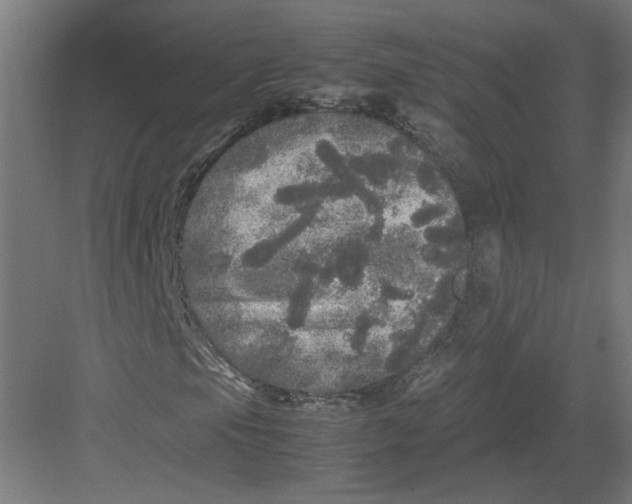 X0000082201105200702092354