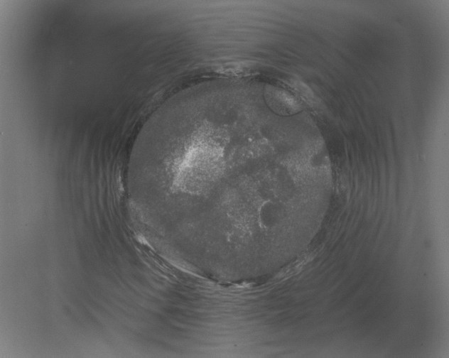 X0000082201106200702092354