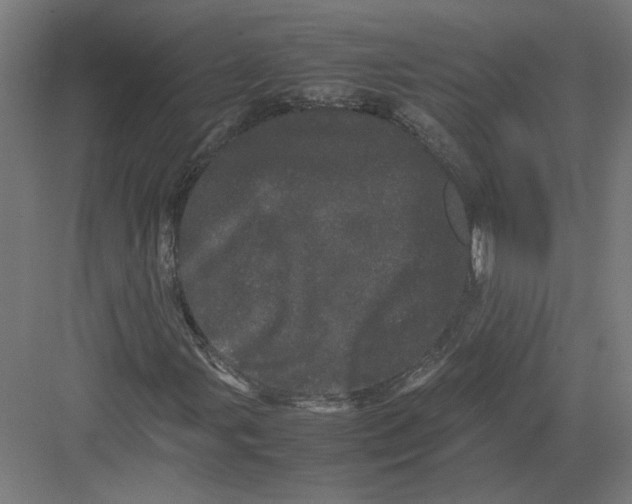 X0000082201107200702092354