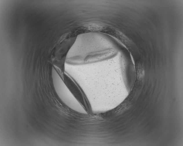 X0000082201108200702092354