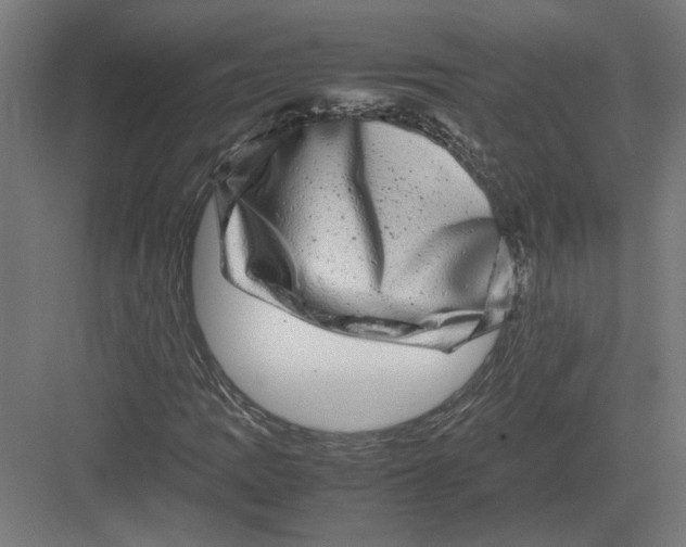 X0000082201109200702092354