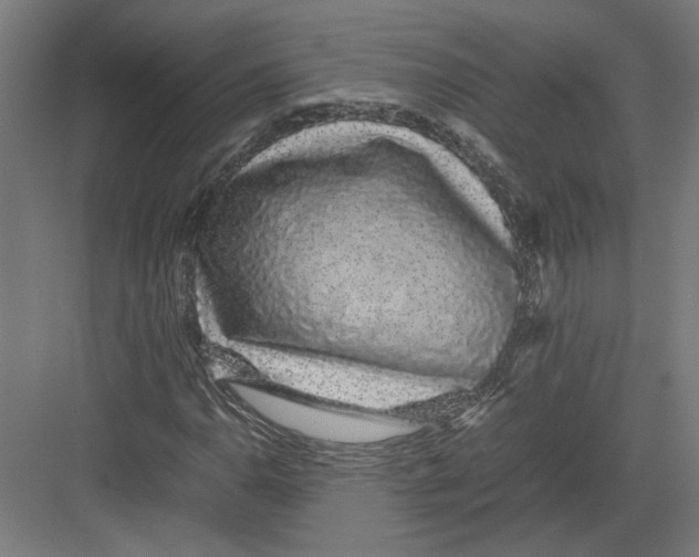 X0000082201110200702092354