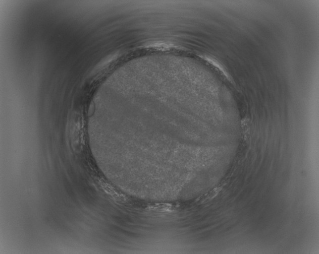 X0000082201111200702092354