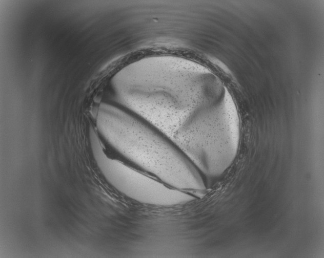 X0000082201112200702092354