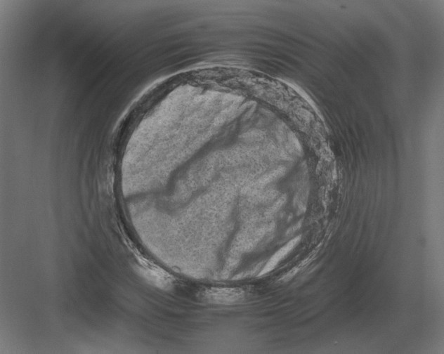 X0000082201115200702092354