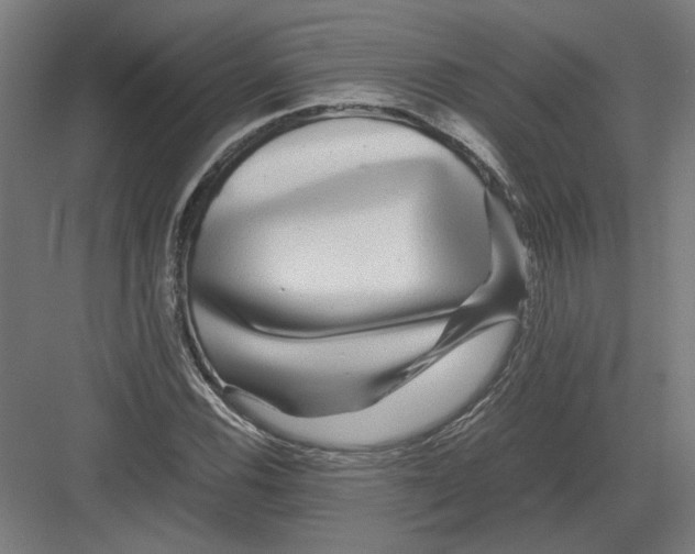 X0000082201116200702092354