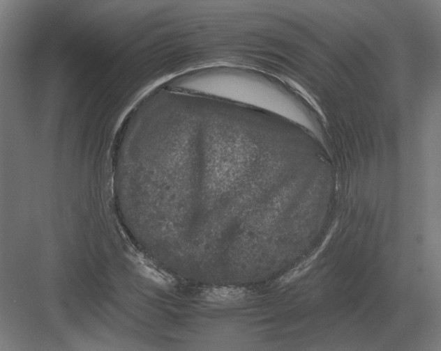 X0000082201117200702092354