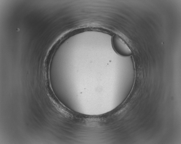 X0000082201118200702092354