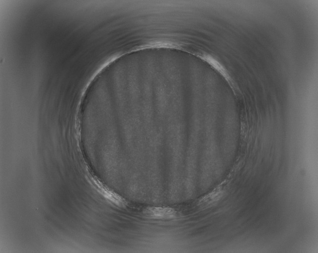 X0000082201119200702092354