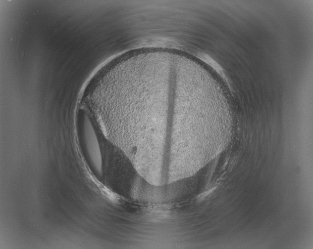 X0000082201120200702092354