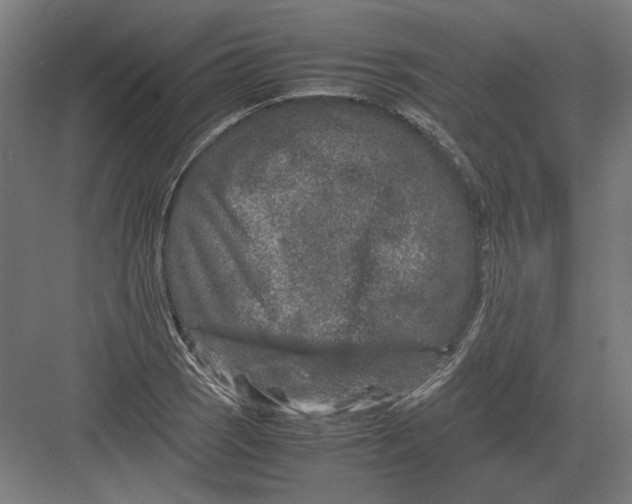 X0000082201121200702092354