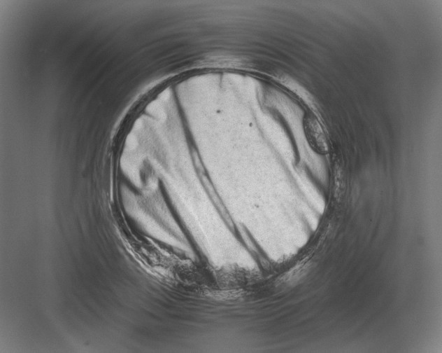 X0000082201123200702092354