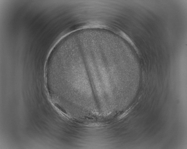 X0000082201124200702092354