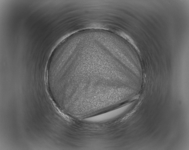 X0000082201125200702092354