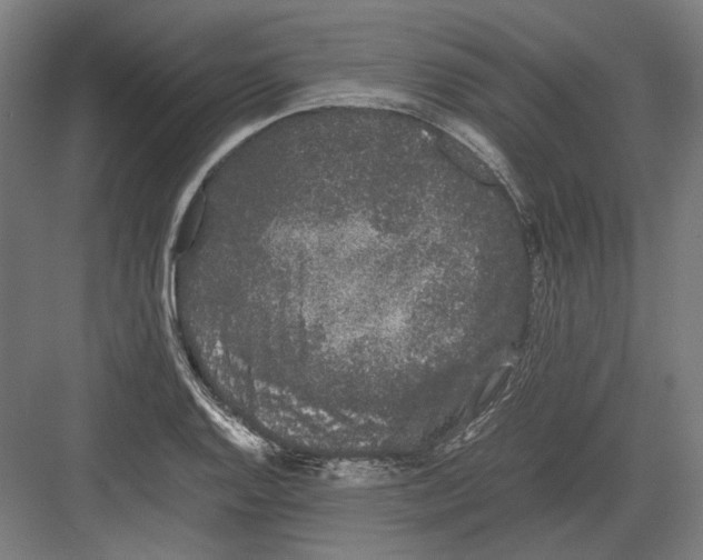 X0000082201128200702092354