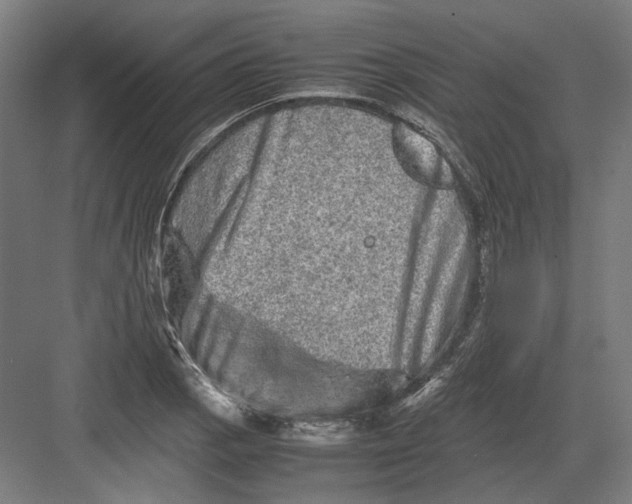 X0000082201129200702092354