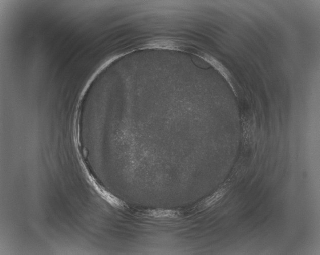 X0000082201131200702092354