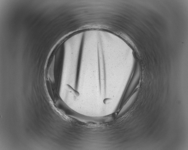 X0000082201132200702092354