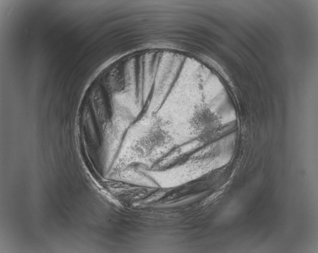 X0000082201133200702092354