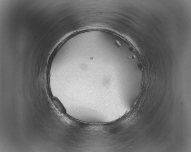 X0000082201134200702092354