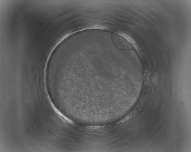 X0000082201135200702092354